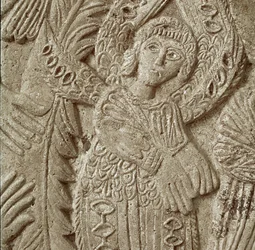 Detail z 