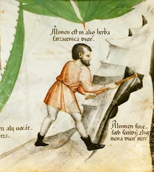Extracting Alum, c.1440 (colour litho)   1412488   cs       czech Successfully Translated  Original: "...disposto...disposto sempre allubbidienza" (Always Ready to Obey) Translat: "...disposto...disposto sempre all