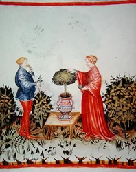 Fol.39v Shromáždění Basilicum Curatum, ilustrace z „Tacuinus Santiatis Code of Vienna“ (na pergamenu)