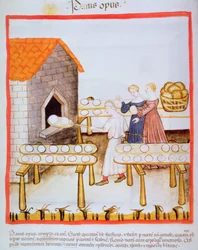 Fol.63v Pečení hnědého chleba, ilustrace z Tacuinum Sanitatis