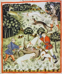 Fol.71v Lovecká gazela, ilustrace z Tacuinum Santiatis Codex Vindobonensis