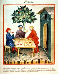 Fol.99r Opilost, ilustrace z Tacuinum Santiatis Codex Vindobonensis
