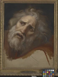 Head Of Laocoon (olej na plátně)