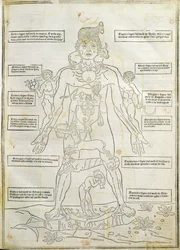 Ilustrace z 