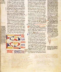 Ms. McClean 135, f.96r: detail historizující iniciály C ve tvaru rostliny z Gratians Decretum, konec 12. stol.