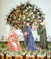 Nova 2644 fol.38r Sběrné růže, ilustrace z Tacuinum Santiatis Codex Vindobonensis