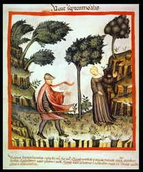 Nova 2644 fol.58v Severní vítr, z Tacuinum Sanitatis