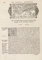 Strana 742 z History of the Northern Gentivus od Magnuse Olause, Řím 1565 (tisk a rytina)