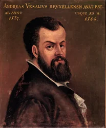Portrét Andre Vesale (Andreas Vesalius) (1514-1564), anatom a lékař Karla V. anonymní malba italské školy. 16. století, Padova, univerzita