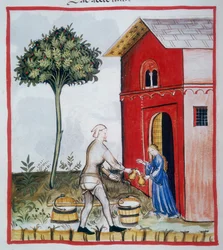 Prodej kyselého mléka (c.59v), Tacuinum Sanitatis, Codex Vindobonensis Series Nova 2644
