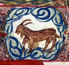 Znamení kozoroha. Italský horoskop z poloviny 15. století.