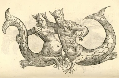ilustrace Monstera Milaca Parei z Aldrovandus History of Monsters, 1642