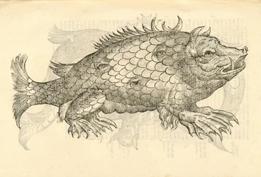 ilustrace Monstrosus Sur marinus z Aldrovandis History of Monsters, 1642