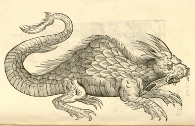 ilustrace podobizen Orobonis Piscis z Aldrovandis History of Monsters , 1642