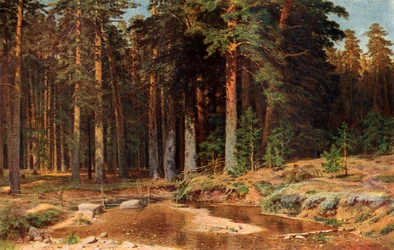 A Pine Grove, 1898, 1939.