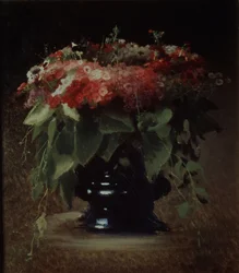 Kytice květin. Floxy, 1884
