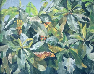 Rostliny, 1961