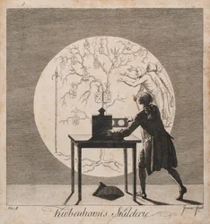 "Kiøbenhavns Skilderie". Ne. 1