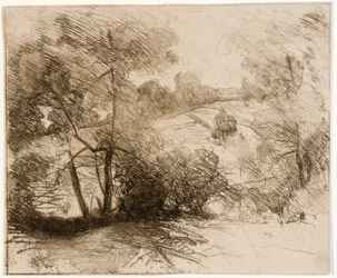 Willows