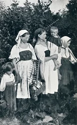 Rolnické typy Velkého Ruska, 1912