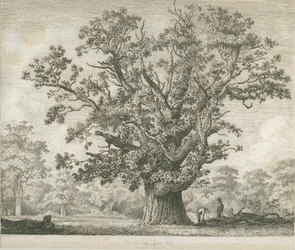 Needwood - Swilcar Oak: lept, nd [c 1820-1850]