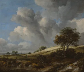 Kukuřičné pole se Zuiderzee v pozadí, c. 1660
