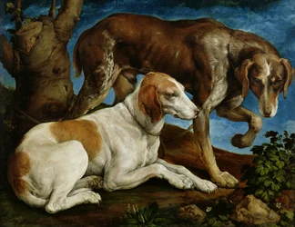 Dva lovečtí psi přivázaní k pařezu, c.1548-50