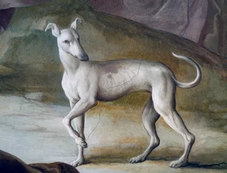 Pes, detail z fresky Jacopo Guarana (1720-1808), centrální sál Villa Contarini, Valnogaredo, Veneto, Itálie