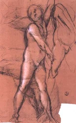 Studie anděla držícího závěs pro „Svatou rodinu se svatými“ (oltář Pucci), kolem 1518 (uhlí)