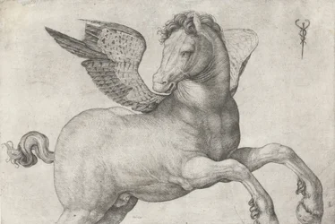 Pegas, 1509-16