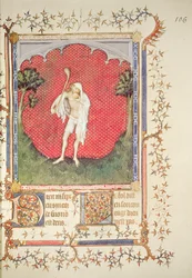 Fr 13091 f.106 Blázen, z 
