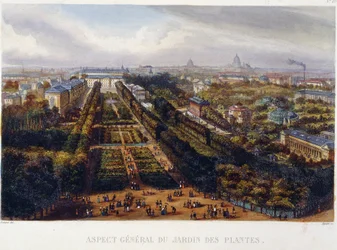 Pohled na Jardin des Plantes - litografie od Testarda