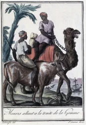 Maurové jdoucí obchodovat s gumou - v „Encyklopedii cest“ od Grasset St Sauveur, vyd. 1796