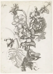 Titulní strana s kyticí pivoněk, z Diverses Fleurs mises en Bouquets, kolem 1670