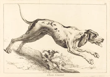 Chien courent (běhající honič)