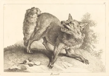 Renard (liška)