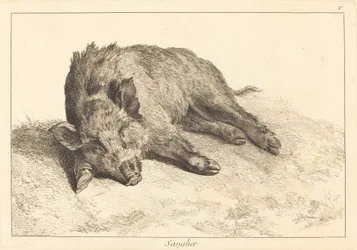 Sanglier (Divočák vleže, zamiřte doleva)
