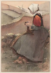 Květ vřesoviště, 1897.