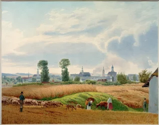 Pohled na Opavu