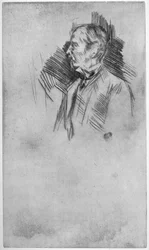 Lord Wolseley, 19. století 1904.