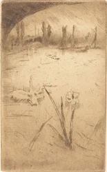 Swan and Iris, publikoval 1883.