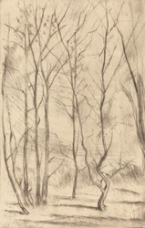The Dam Wood, 1875.