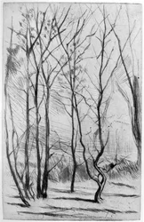 The Dam Wood, c1875 1904.