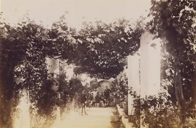 Zahrada - Capri