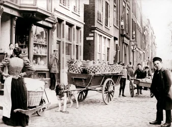 Dogcart, Antverpy, 1898.