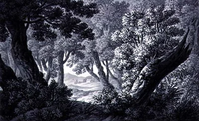 Krajinné skici