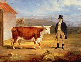 Pan James Hodges a jeho dvouletá herefordská jalovice, asi 1843