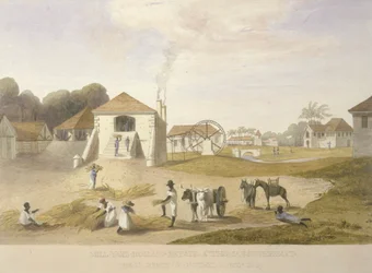 Mill Yard, Holland Estate, St. Thomas na východě