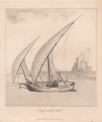 Canja Undersail