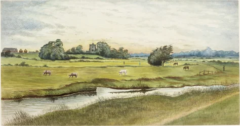 Ryton Meadows (akvarel a tělová barva na papíře)